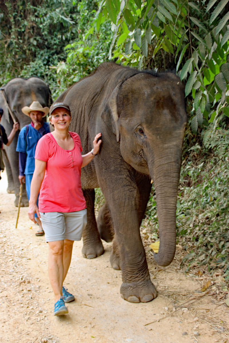 Elefantenspaziergang Golden Triangel Elephant Camp