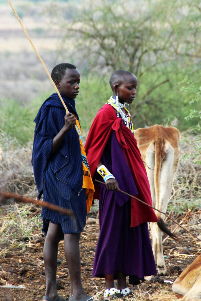 Iosoitok Camp Tansania Massai beim Kühe hüten