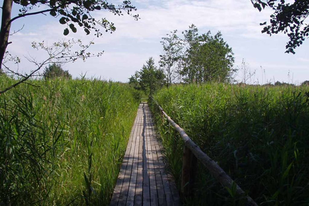 Weg im Naturschutzgebiet