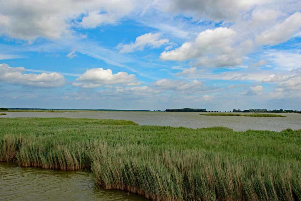 Die Bülten im Bodden