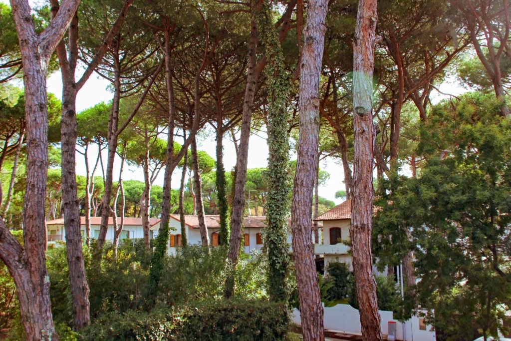 Casa Ludovico Blick vom Balkon