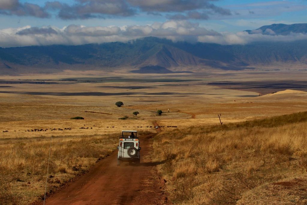 Tansania Ngorongoro Krater Einfahrt