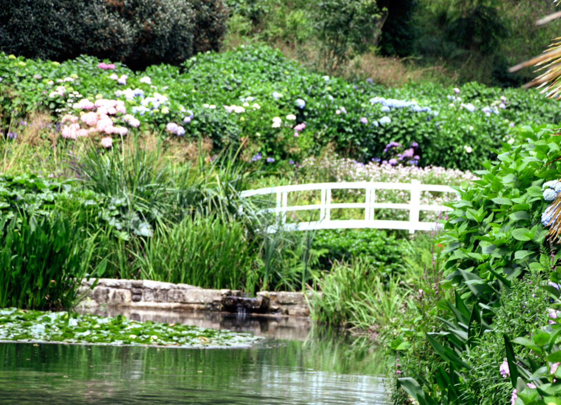 Trebah Garten Brücke im Hortensiental