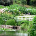 Trebah Garten Brücke im Hortensiental