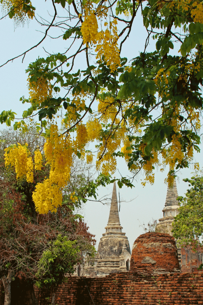 wat Mahthat Ayutthaya