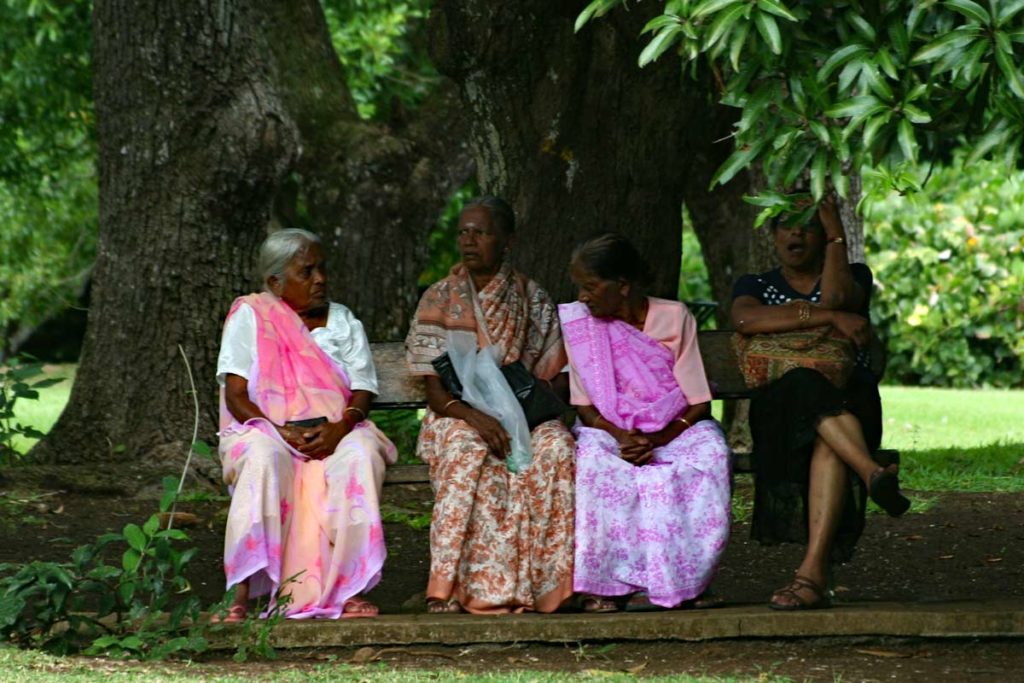 Mauritianische Frauen im Sari im Park