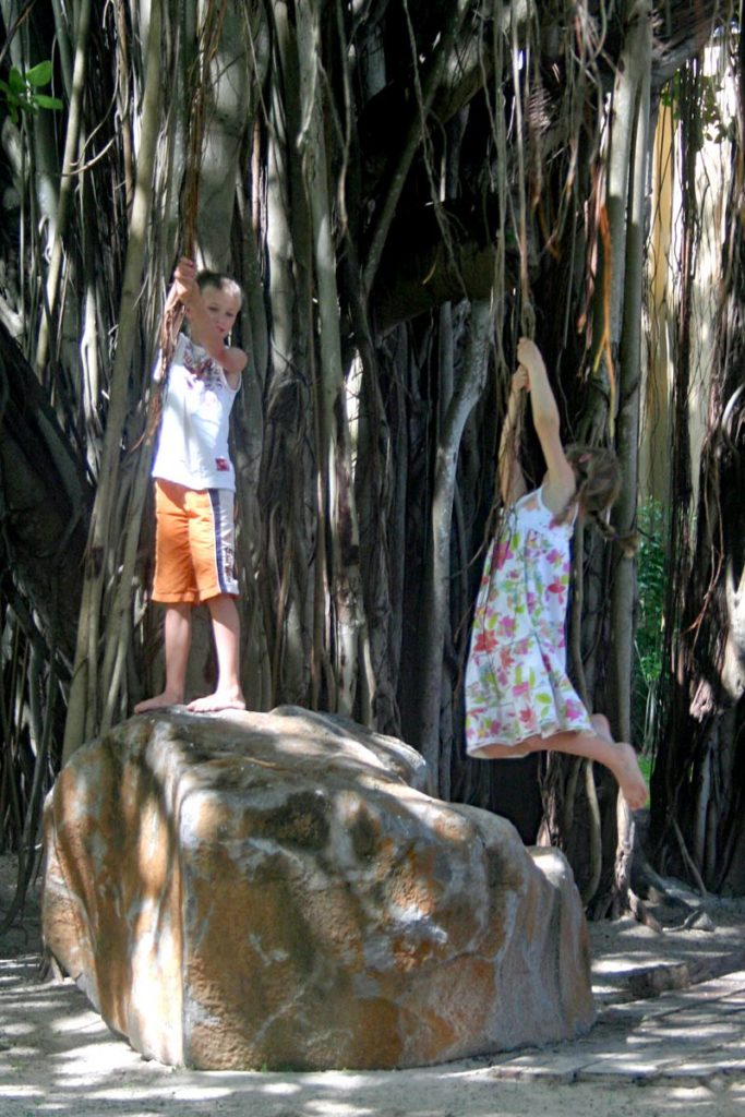 Kinder am Banyanbaum