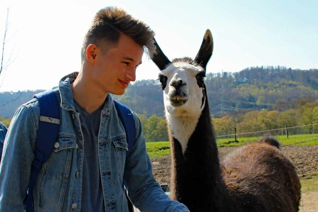 Alex mit dem Lama