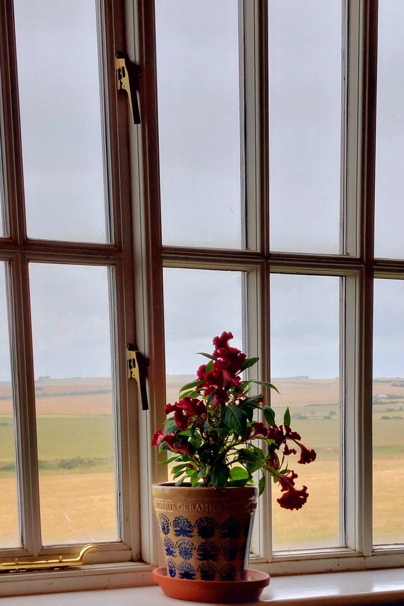 Fensterbacnk mit Blumen