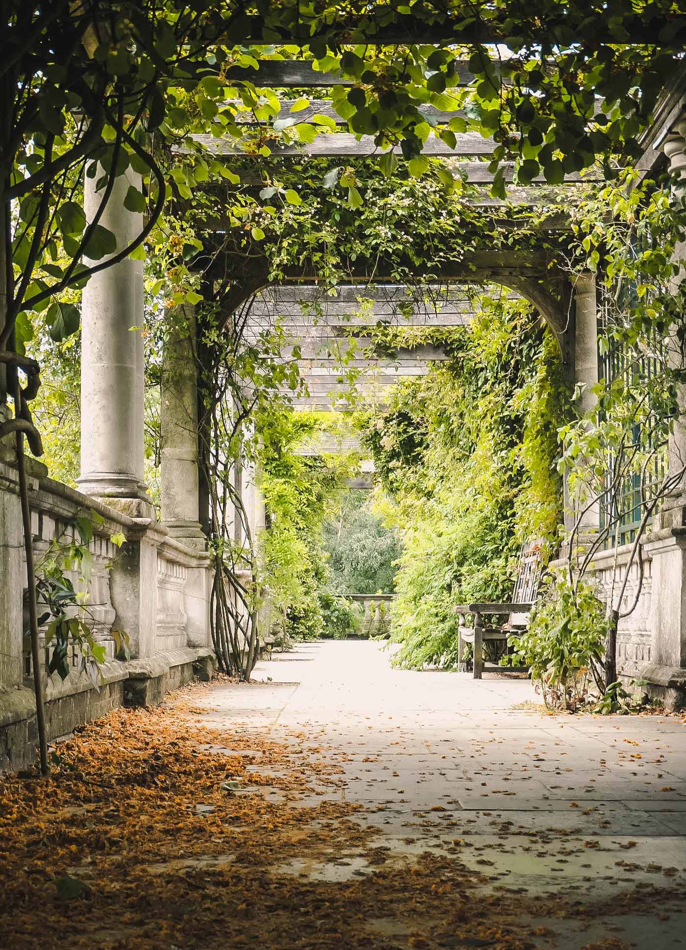 Pergola Blick