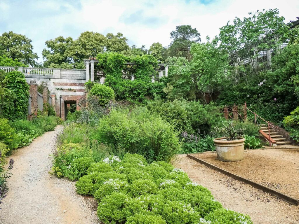 Eingang Garten Hill and pergola