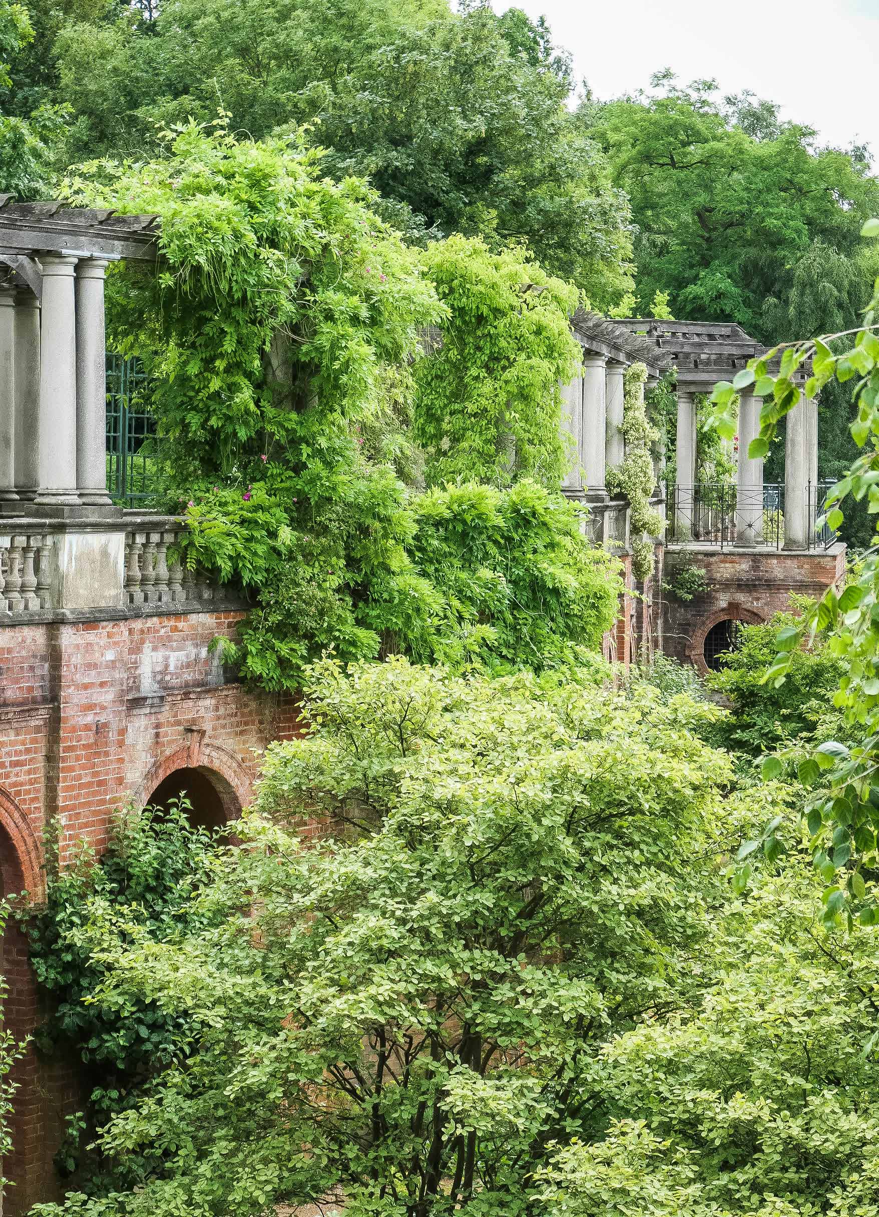 Hill and Pergoa Garden Pergola mit Bewuchs