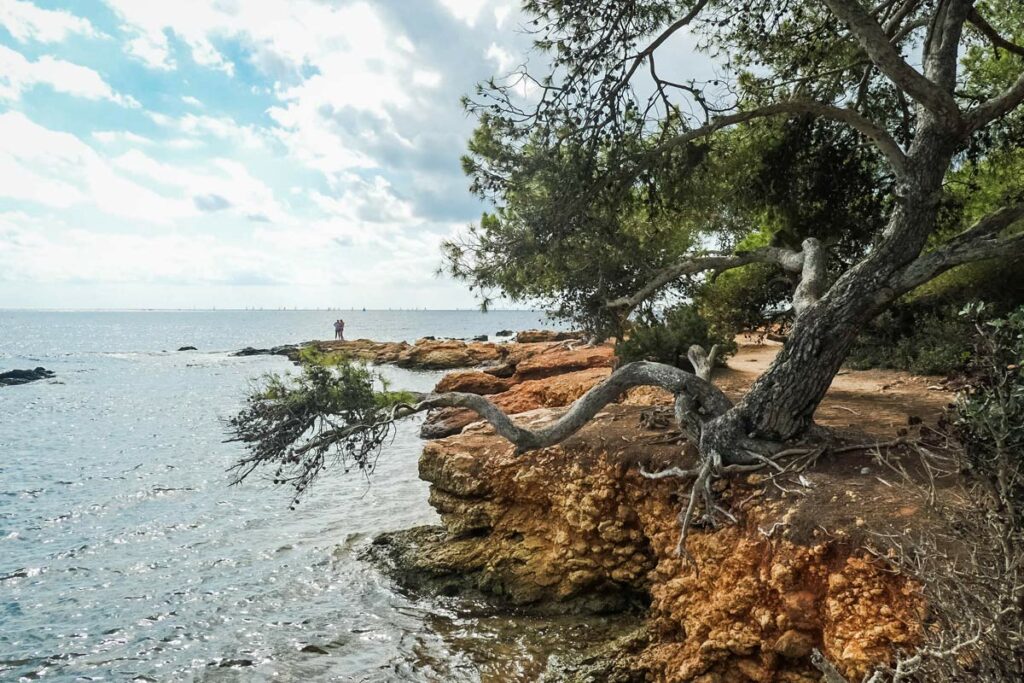 Küstenwanderung Ibiza