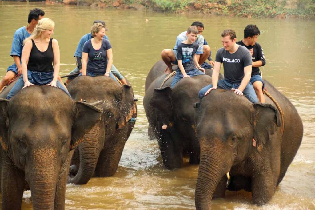 Elefanten baden im Mekong