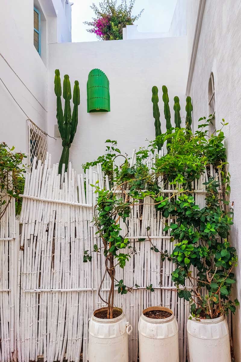 in der Medina von Asilah